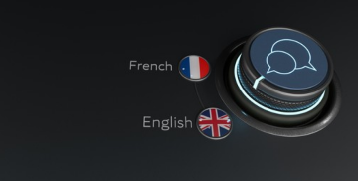 The Importance of Using Translation Services: A Deep Dive into Canadian English to French Translation